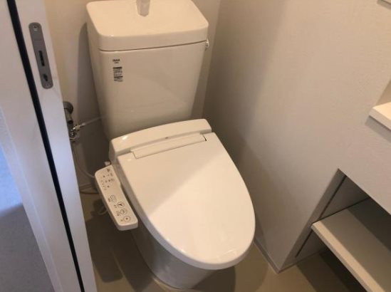 チャトラのトイレ写真