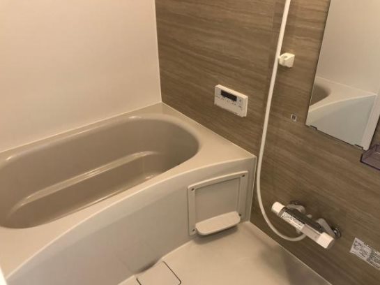 チャトラの風呂写真