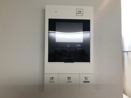 チャトラのその他写真