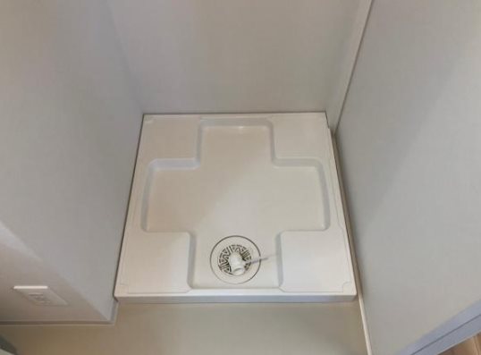チャトラのその他写真