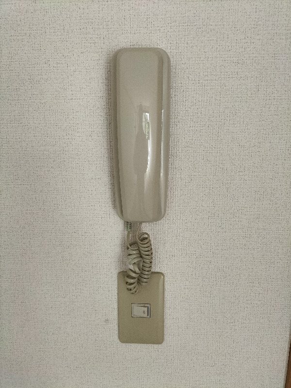 ウイスティリア高洲のその他写真