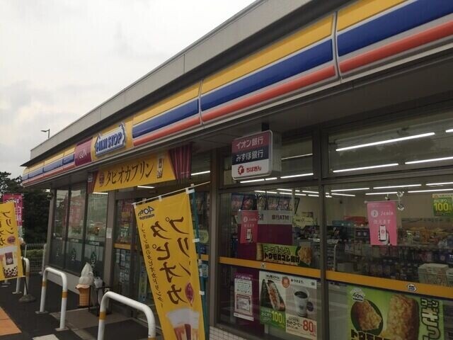 ウイスティリア高洲の周辺写真