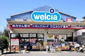 ドラックストア　ウエルシア江戸川中葛西店（ドラッグストア）まで551m
