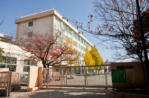高校・高専　江戸川区立東葛西中学校（高校・高専）まで1419m