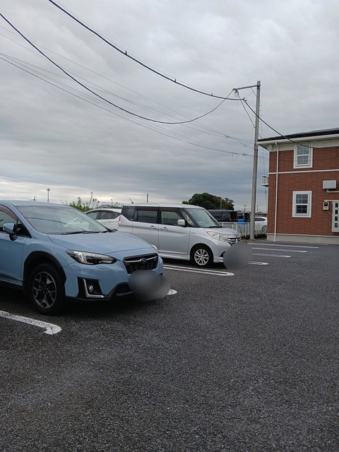 グレースぐみの木のその他写真