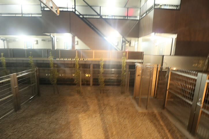 京王線 千歳烏山駅 徒歩10分 2階建 築6年の内装写真