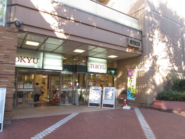 その他　中央林間とうきゅう（その他）まで647m