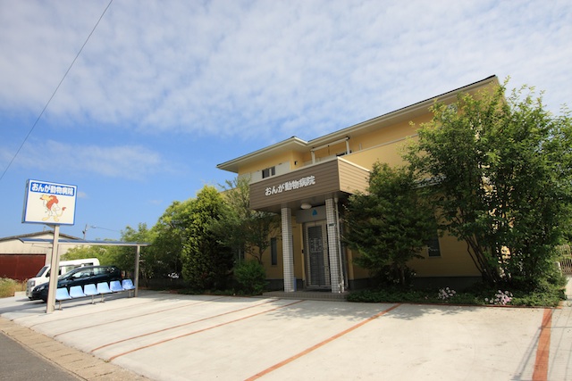 病院　おんが動物病院（病院）まで948m