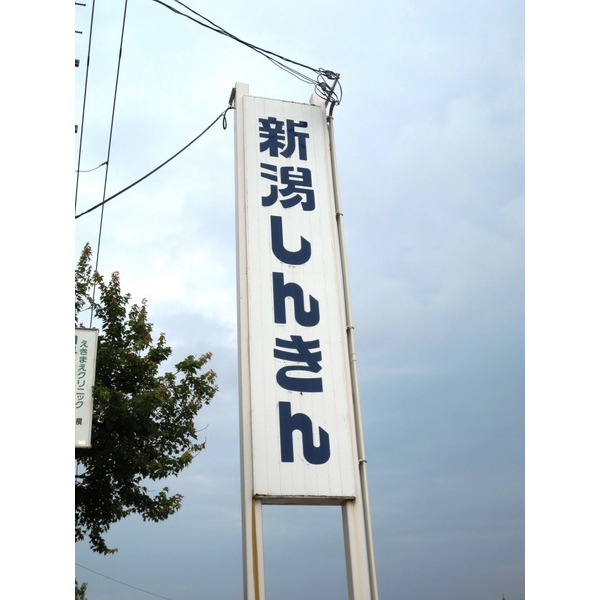 銀行　新潟信用金庫ながた支店（銀行）まで791m