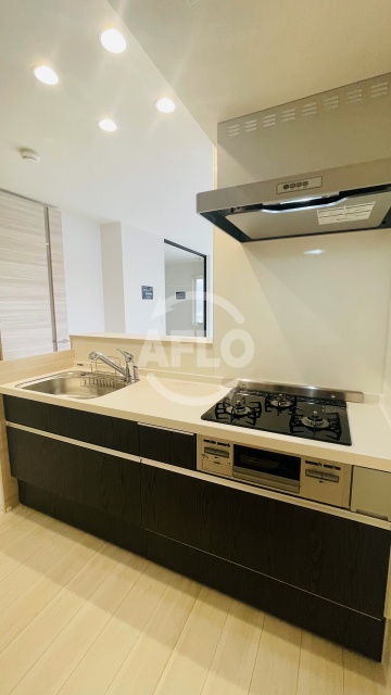 キッチン　カーサルミノサ駒川