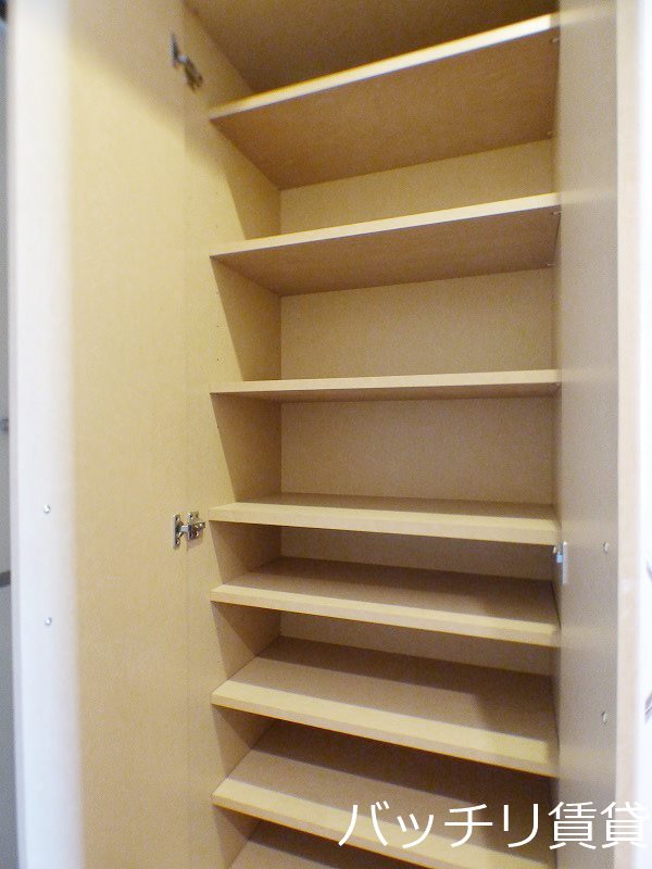 玄関　画像は別号室タイプの為、現状を優先致します。