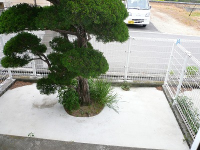 庭