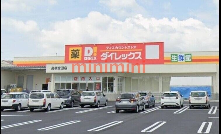 ドラックストア　ダイレックス高槻宮田店（ドラッグストア）まで785m