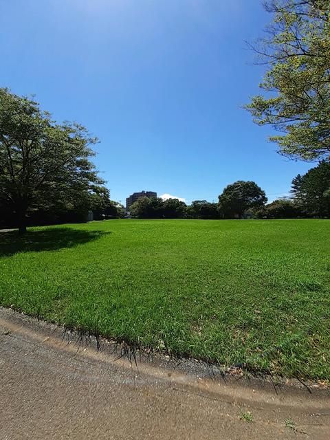 公園　浜田公園（公園）まで83m