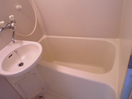 バス・シャワールーム　※別部屋の写真です