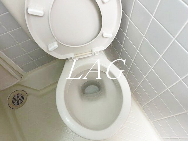 トイレ　トイレです。