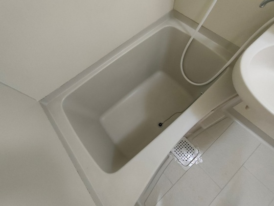 バス・シャワールーム　※別部屋の写真です