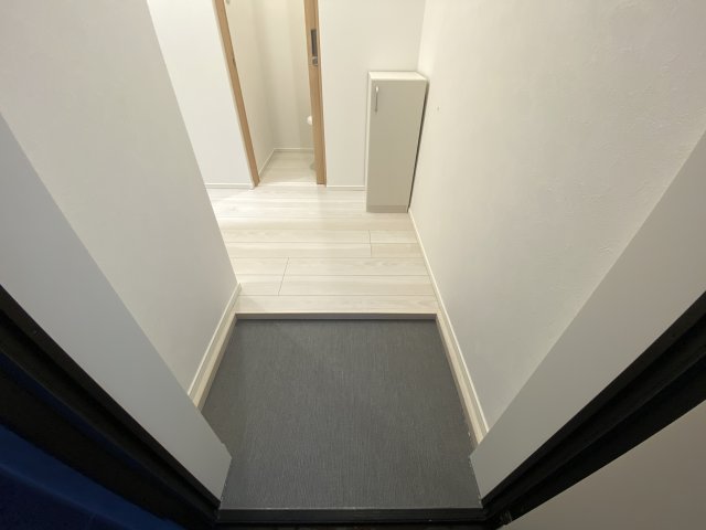 MELLAS鳩ヶ谷IIの玄関写真