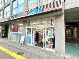 ドラックストア　ウエルシア南麻布店（ドラッグストア）まで493m