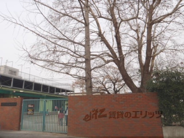 幼稚園・保育園　みぎわ保育園（幼稚園・保育園）まで1300m
