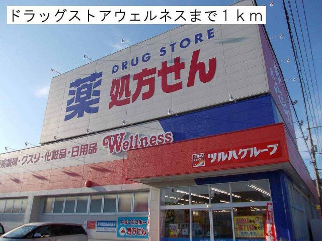 ドラックストア　ウェルネス旗ヶ崎店（ドラッグストア）まで1100m