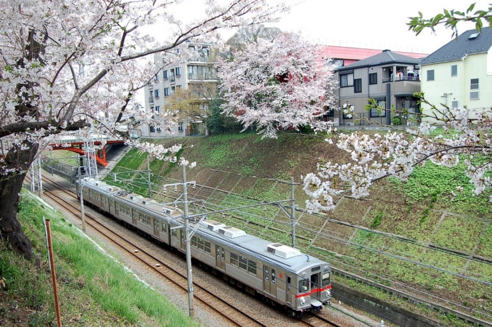 その他　石川台駅（その他）まで735m