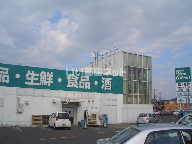 スーパー　エバグリーン阪南店（スーパー）まで1184m
