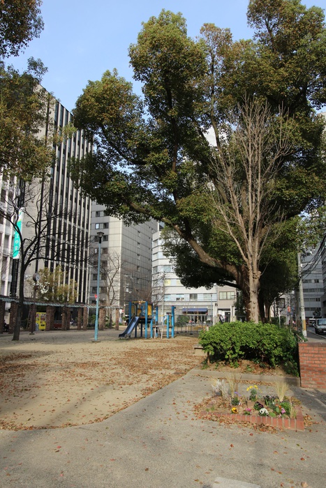 公園　公園（公園）まで257m