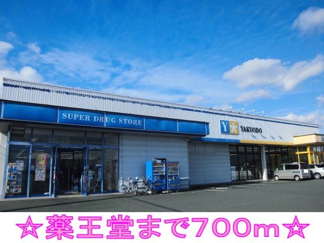 ドラックストア　薬王堂（ドラッグストア）まで700m