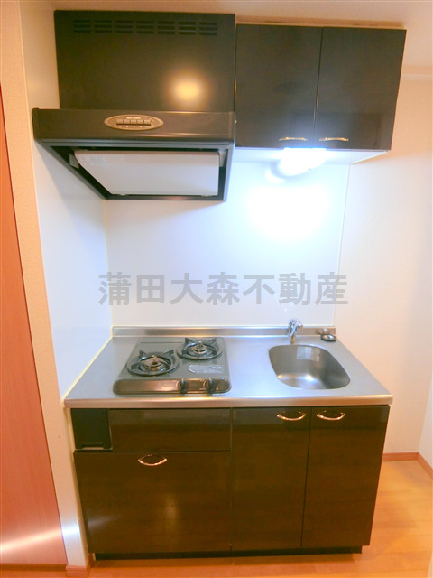 キッチン　2口ガスシステムキッチン