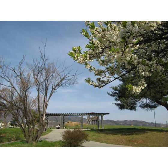 公園　玄蕃山公園（公園）まで1561m