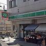 コンビニ　ローソンストア100江戸川松島四丁目店（コンビニ）まで203m