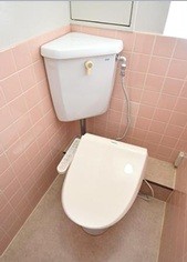 アシスト富山マンションのトイレ写真