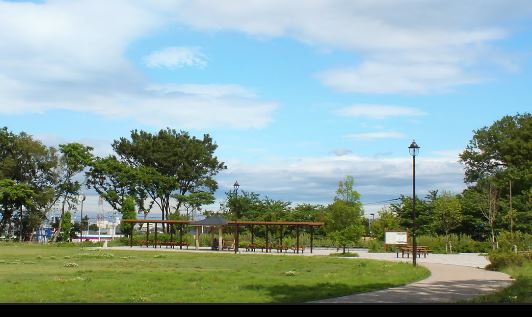 公園　丸山城址公園（公園）まで218m