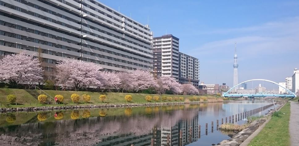 公園　亀戸九丁目緑道公園（公園）まで1432m