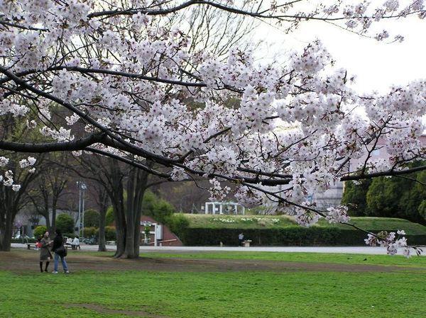 【元町グローブビルの公園】