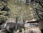 南千住駅より徒歩13分 10階 築18年7ヶ月の賃貸物件
