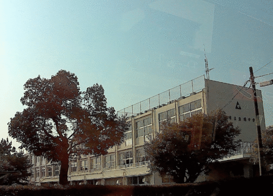 中学校　沼津市立金岡中学校（中学校）まで2389m