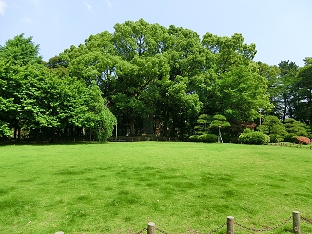 公園　蕨城址公園（公園）まで300m