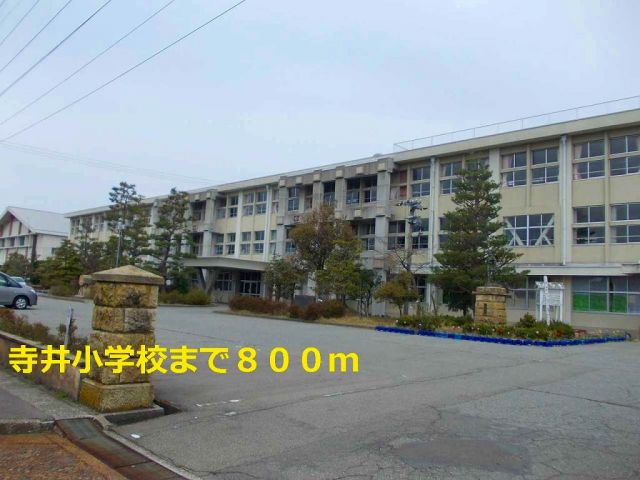 小学校　寺井小学校（小学校）まで800m