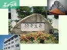 中学校　桑田中学校（中学校）まで274m