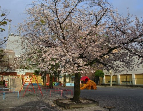 公園　中和公園（公園）まで314m