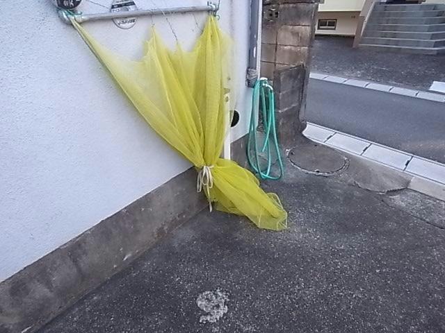 その他　その他