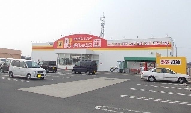 その他　ダイレックス（その他）まで700m