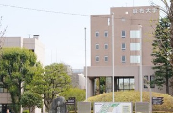 大学・短大　麻布大学（大学・短大）まで988m