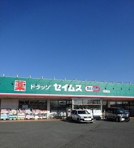 その他　セイムス（その他）まで541m