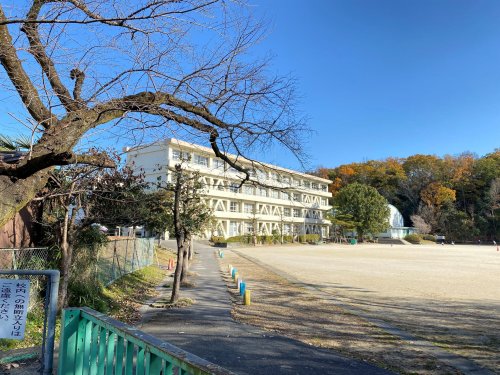 小学校　坂下小学校（小学校）まで529m