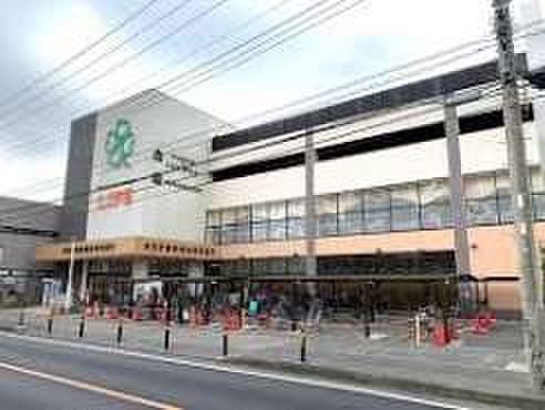 スーパー　ライフ宮内二丁目店（スーパー）まで800m