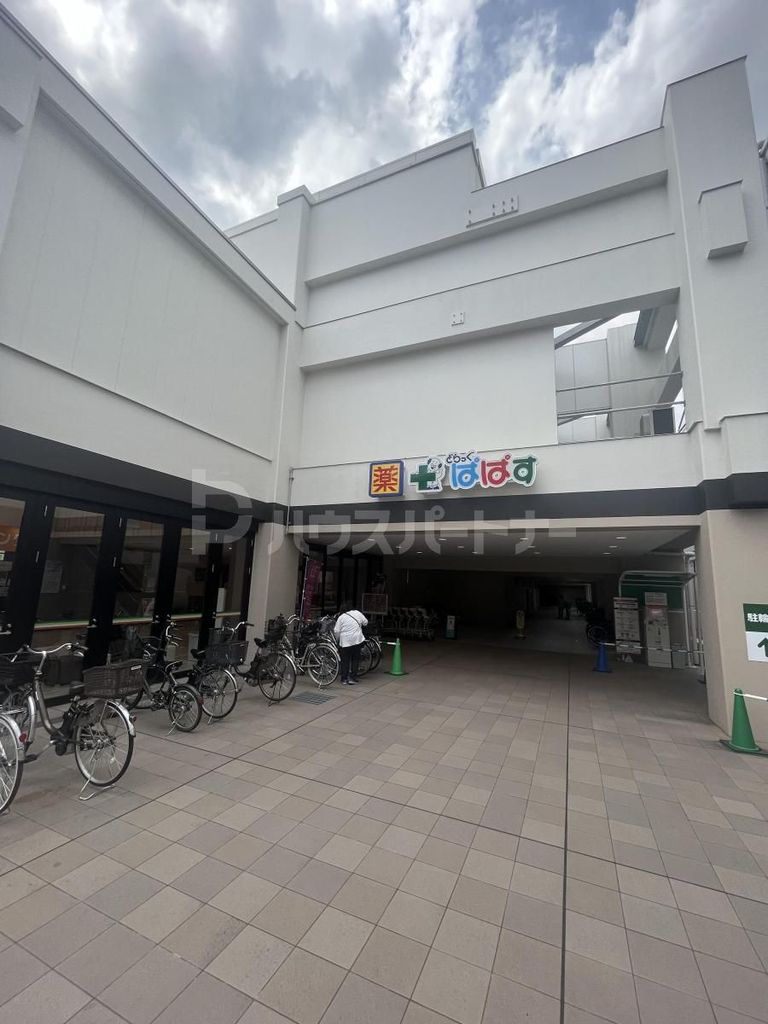 ドラックストア　どらっぐぱぱす板橋南町店（ドラッグストア）まで120m