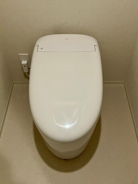 トイレ　落ち着いた色調のトイレです